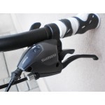 Спортен велосипед FERINI FASTER 28 цола с 24 скорости преден амортисьор диск Спортен велосипед FERINI FASTER 28 цола с 24 скорости преден амортисьор диск